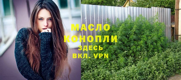 дживик Бронницы