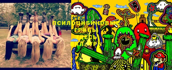 МДМА Бородино