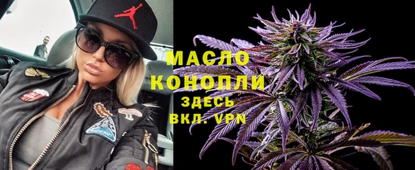 дживик Бронницы