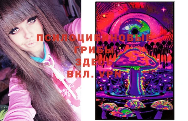 МДМА Бородино