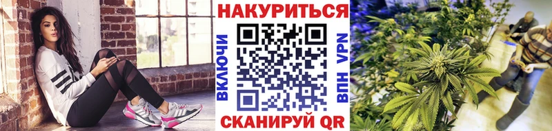hydra сайт  Тамбов  Канабис семена 
